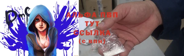 прущий лед Карпинск