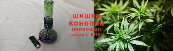 дмт Касимов