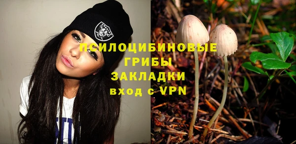 прущий лед Карпинск