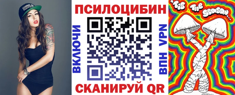 Купить закладки  Электрогорск  Галлюциногенные грибы Psilocybine cubensis 